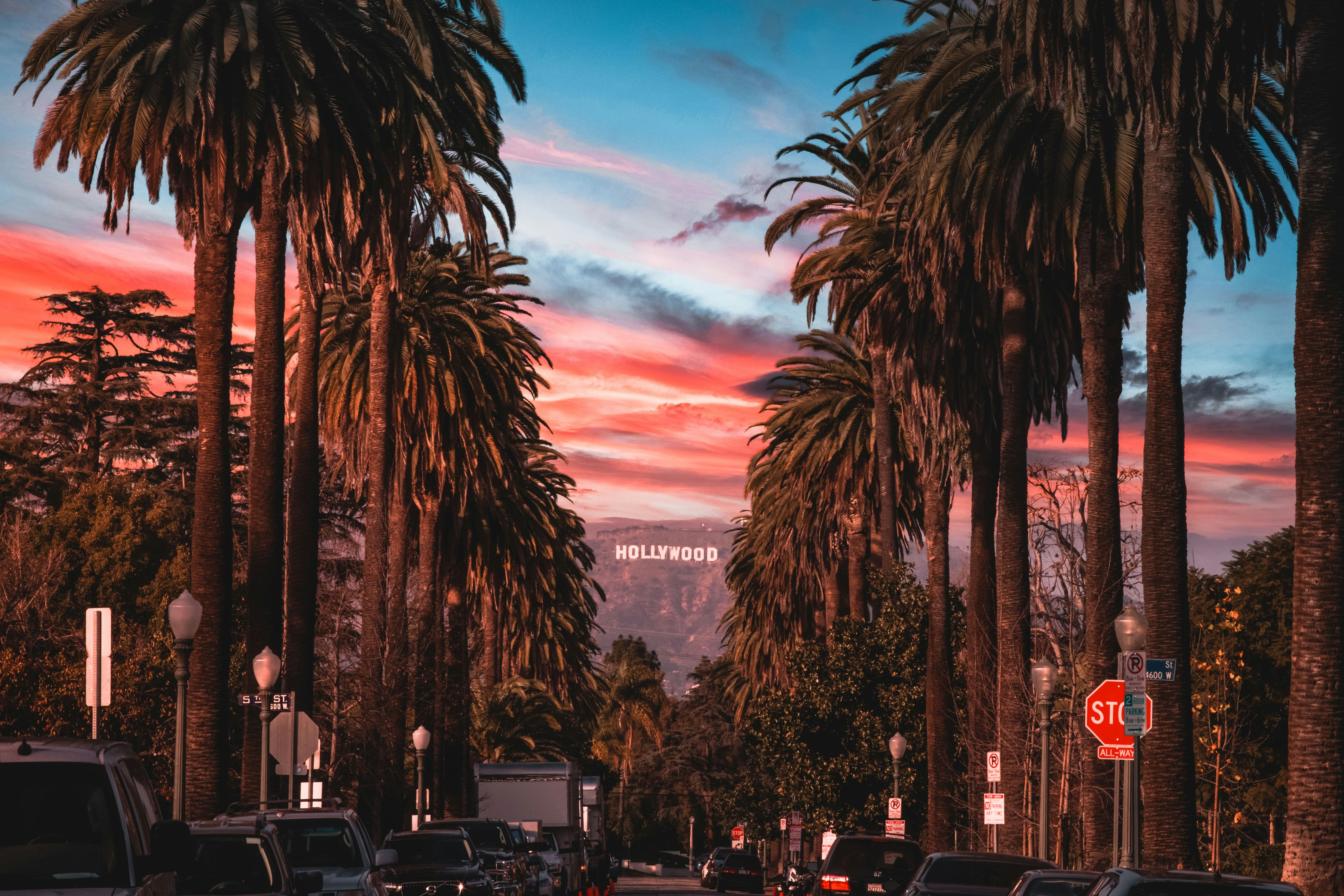 Boulevard Windsor's picture
